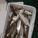 풍화리민박 이미지