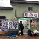 울릉도 맛집, 정애분식에서 홍따밥 먹고 온 후기