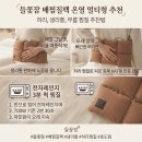 하나열세탁연구원 | 들꽃잠 배찜질팩 온열 멀티형 후기 | 허리 생리통 무릎 찜질 추천템