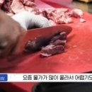 고기 백화점 이미지