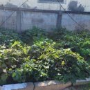 에코탑공인중개사사무소 이미지