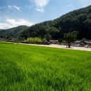 산촌세천 이미지