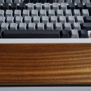 팜 (palm) 이미지