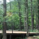 호명산캠프 이미지