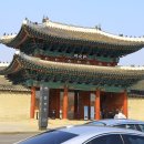 창경궁 홍화문 옆 티스토리