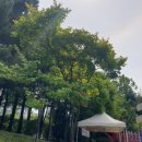 분당수내2-D-2 이미지