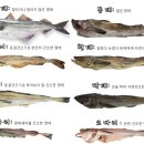 먹태와호프 네이버블로그