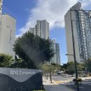 붐애견 | 주말 애견동반 인왕산 등산 후기 (코스, 주차 등 정리)