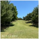 웨스트우드 영천골프 이미지