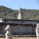 성수산 왕의숲 국민여가캠핑장 이미지