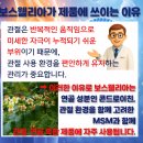 수지메디칼약국 이미지