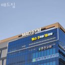 매드짐 이미지