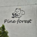 세븐일레븐 울산언양스마트점 | 울산 언양 카페 파인포레스트 한식브런치 특별한 경험