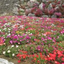 산내들펜션 이미지