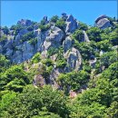유달산 Daum카페