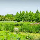 청산수목원