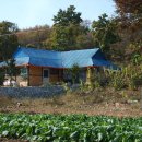 강화땅공인중개사사무소 이미지