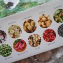 닭키우는 회장님 이미지