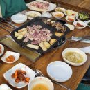 행복한통오리 이미지