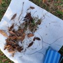 숲속 부엉이 어린이 공원 | 광주 숲 파티포레 숲 체험 밤숲 체험 마녀 숲 체험 풍암 생활체육공원