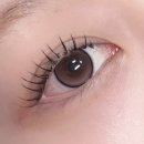 용인 수지 죽전 속눈썹 연장 추천- 탐나래쉬 속눈썹 연장 후기