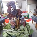 연향농장 이미지