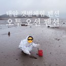 씨유태안뉴만대항점 | 태안 갯벌 체험 펜션, 오투 오션 레몬3 숙박 솔직 후기(ft.바지락 잡기/태안 낚시 펜션)