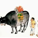 일랑이다 이미지