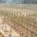 산사람농원(1) 이미지