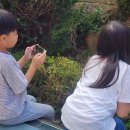 가평초등학교 앞 이미지