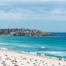 주식회사 빅그림 | 호주 시드니 바다 명소 BEST 3 - 본다이비치 아이스버그 수영장 / 포트스테판 투어 / 저비스베이