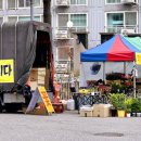 꽃사세요 꽃 이미지