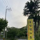 홍선정가든