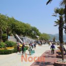 친환경 식물 미술관 이미지