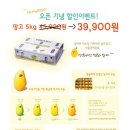 고고망고 이미지