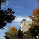 한일충전소 | 용인 공세동 카페 호수앉기 업체 정보 후기