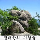 6월16일 영동 알프스 천태산 & 대성산 정기산행(태화) 이미지