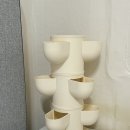 홈가드닝 | 다육이화분으로 완성한 미니 홈가드닝 인테리어 후기