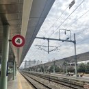 가창로 | [대구]네이처파크 동물원에서 데이트 후기~동물원은 애기들만 가야하나 어른들도 가고싶다!(카피바라...