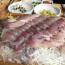 대성미르태권도스쿨 | 답십리발레학원 - EJ이화발레학원: 먹고,자고, 운동하는 은둥입니다. [발레리나, 발레학원, 취미발레]