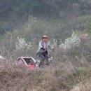 자전거대통령 이미지