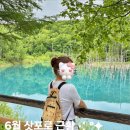 [일본 삿포로 6월 3박4일 여행] 삿포로 근교 비에이 투어 추천｜준페이 청의호수 흰수염폭포 사계체...