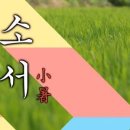 소서 뜻과 24절기 유래 및 장마철 건강 관리 방법 상세 가이드 이미지