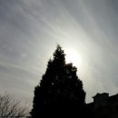 곰실보리밥집 이미지