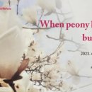 하모리-3 이미지