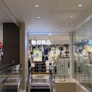 어서와~ 이런 세계문화여행은 처음이지? -미국편 | 도쿄 니혼바시 여행 후기│코레도 무로마치와 후쿠토쿠 신사 둘러보기