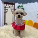 몽실묭실 이미지