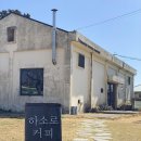 나무네커피 이미지