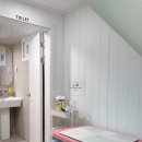 댕댕포레스트 이미지