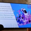 동행벤처스